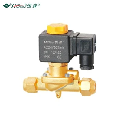 Top 10 Magnetic Valve Manufacturer in The World in 2025
