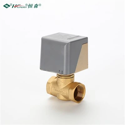 2 Port Motorized Valve