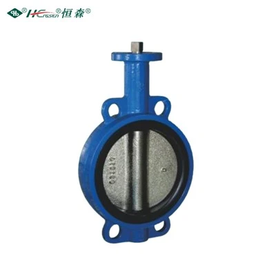 Bi Directional Butterfly Valve